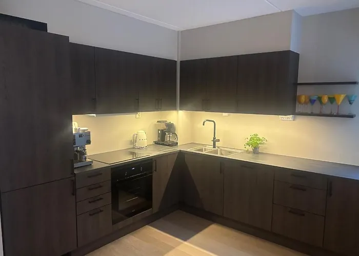 Modern Newly Renovated Centrally Located *