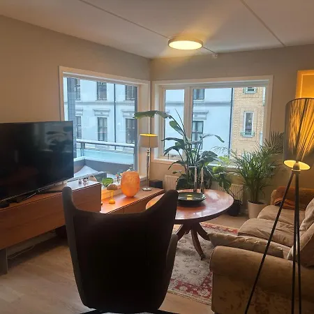 Modern Newly Renovated Centrally Located Daire Oslo